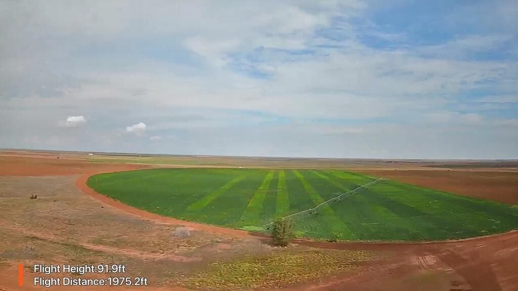 650 acres in Yoakum County - photo 8