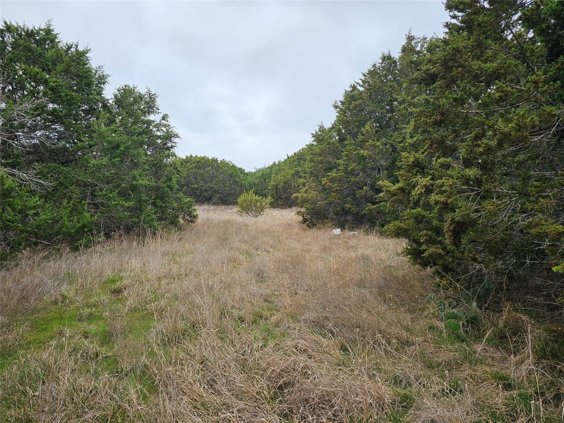 1 acres in Parker County gallery image 4