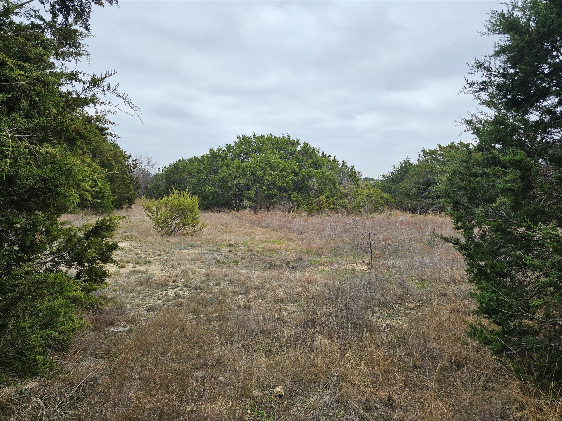 1 acres in Parker County gallery image 3