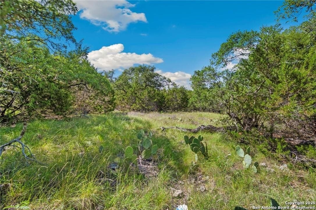 1.22 acres in Comal County gallery image 4