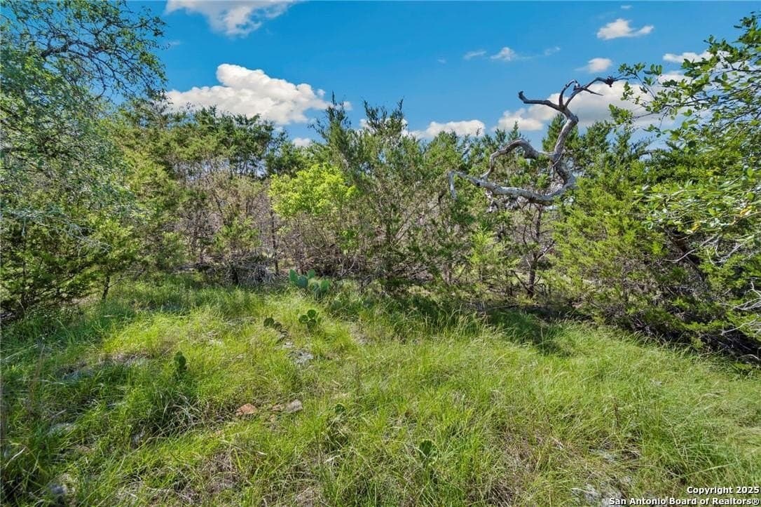 1.22 acres in Comal County gallery image 3