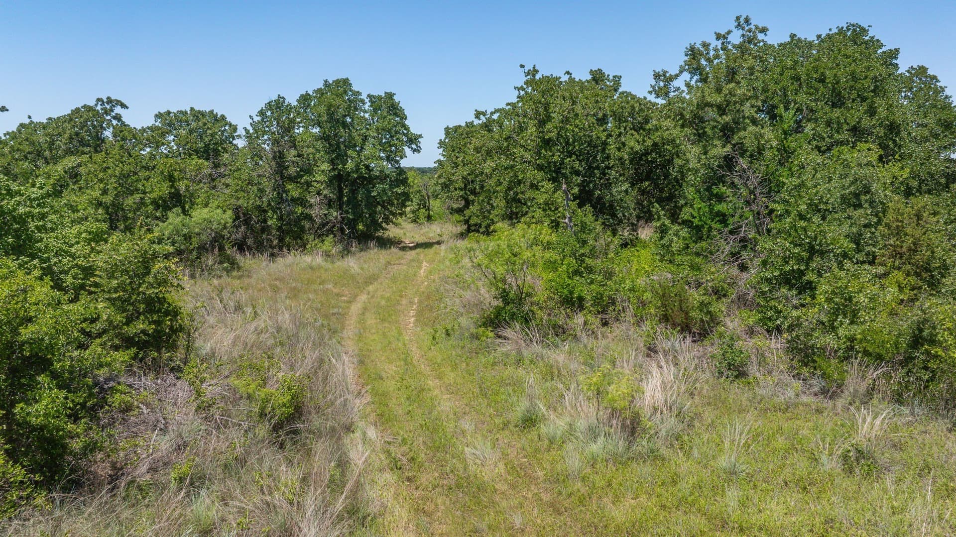 67.33 acres in Erath County - photo 33
