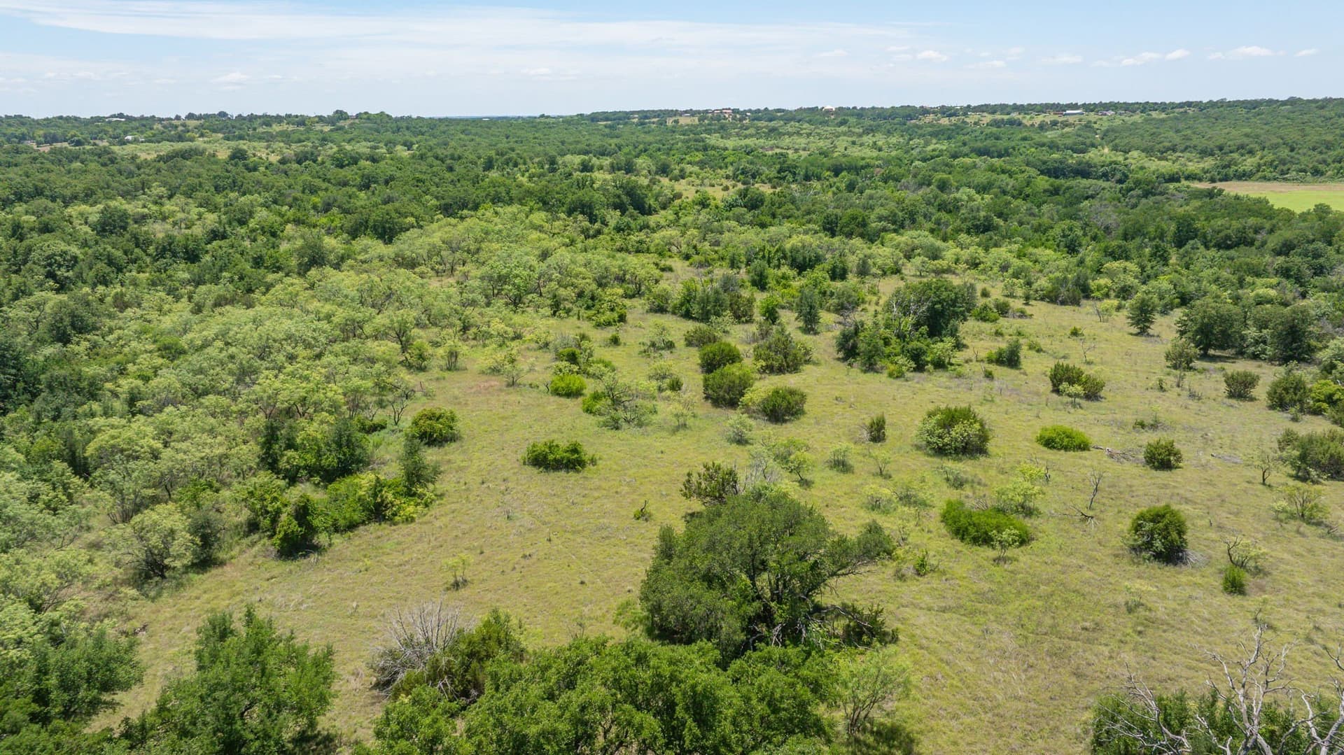 67.33 acres in Erath County - photo 22