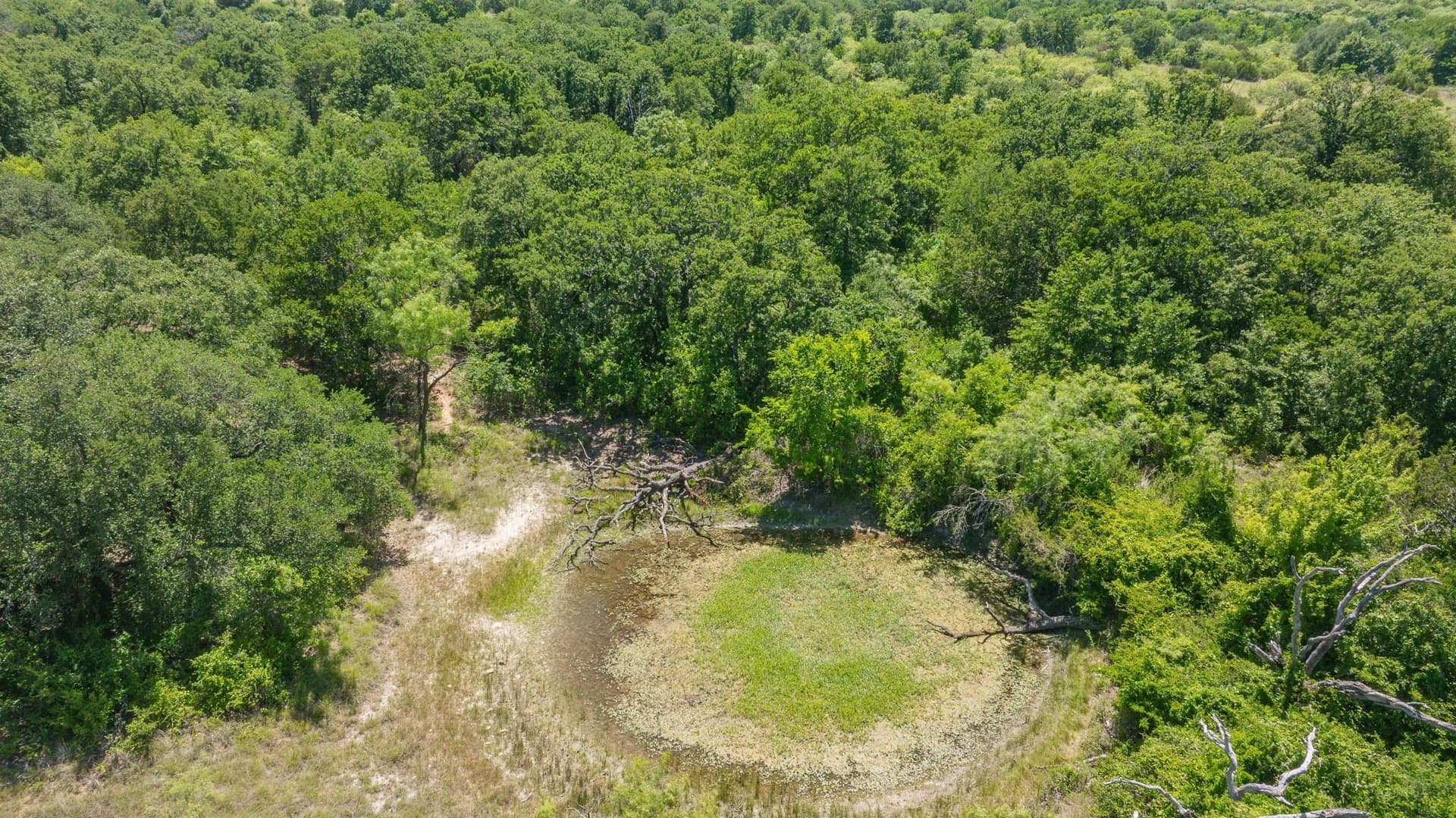 67.33 acres in Erath County - photo 21