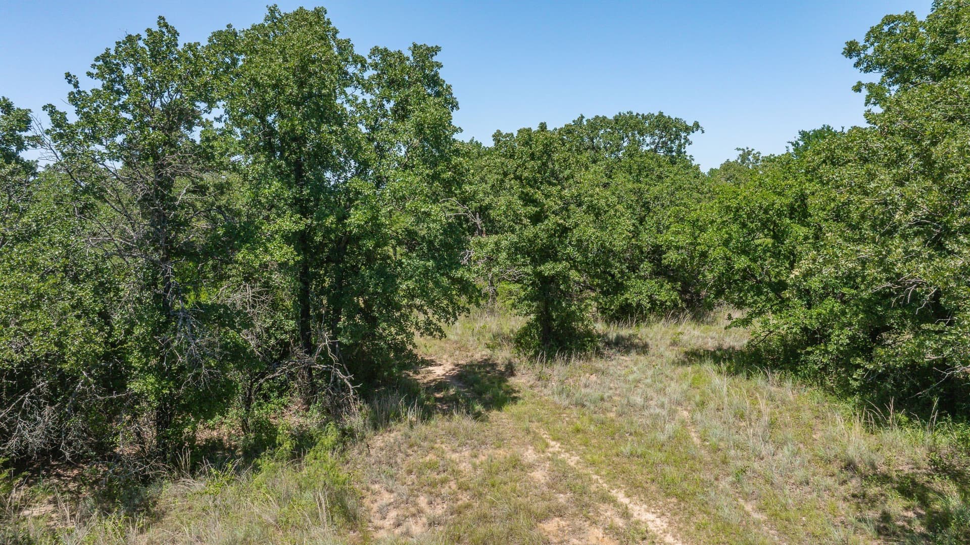 67.33 acres in Erath County - photo 13