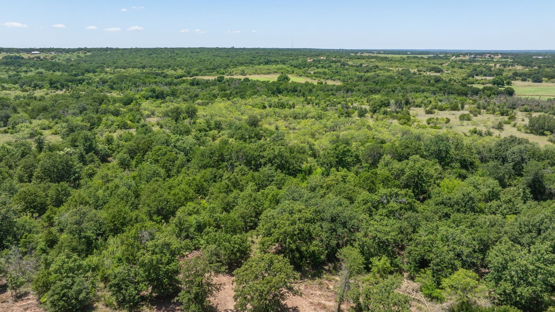 67.33 acres in Erath County - photo 12