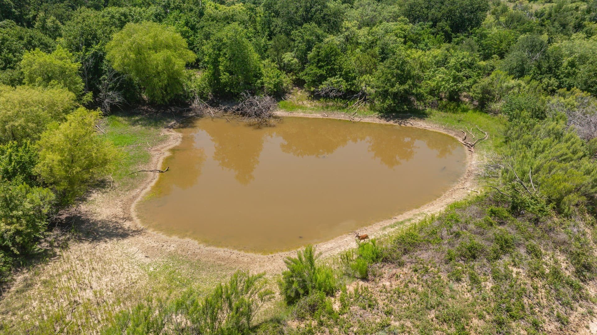 67.33 acres in Erath County gallery image 4
