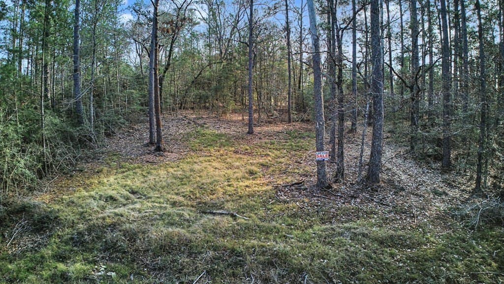 0.17 acres in Texas County featured view
