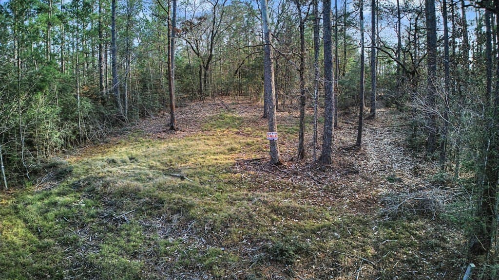 0.17 acres in Texas County gallery image 4