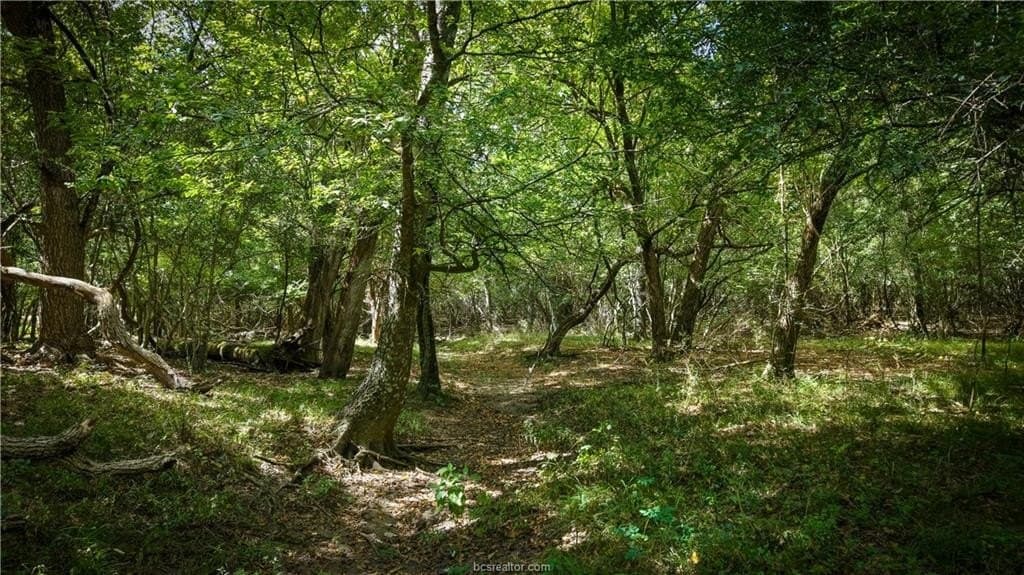 13.62 acres in Brazos County - photo 3