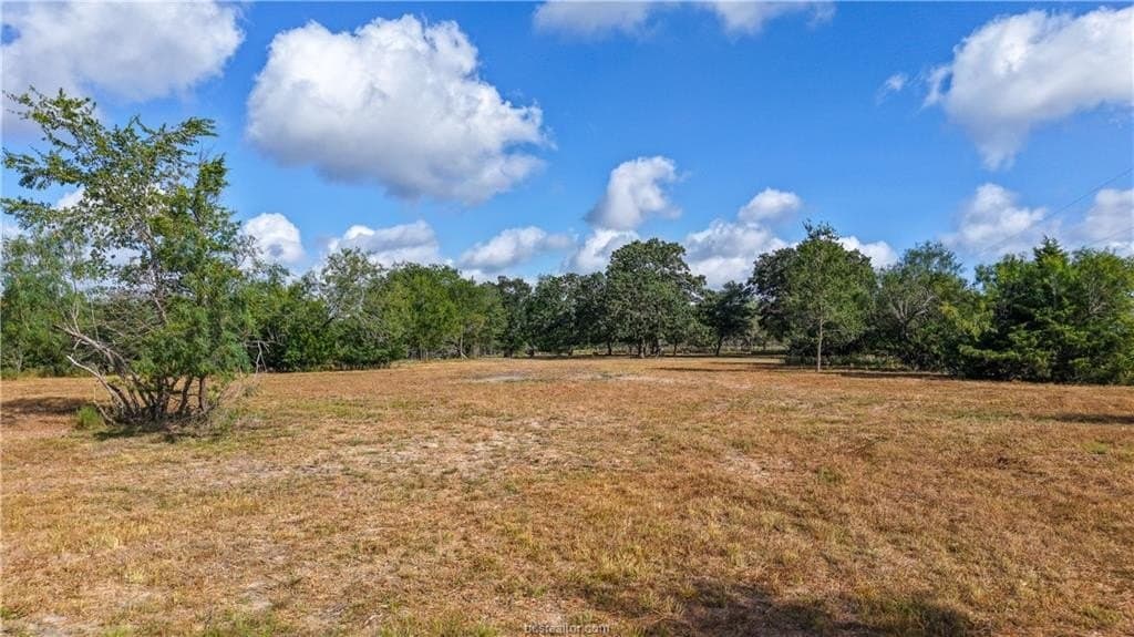 13.62 acres in Brazos County - photo 14