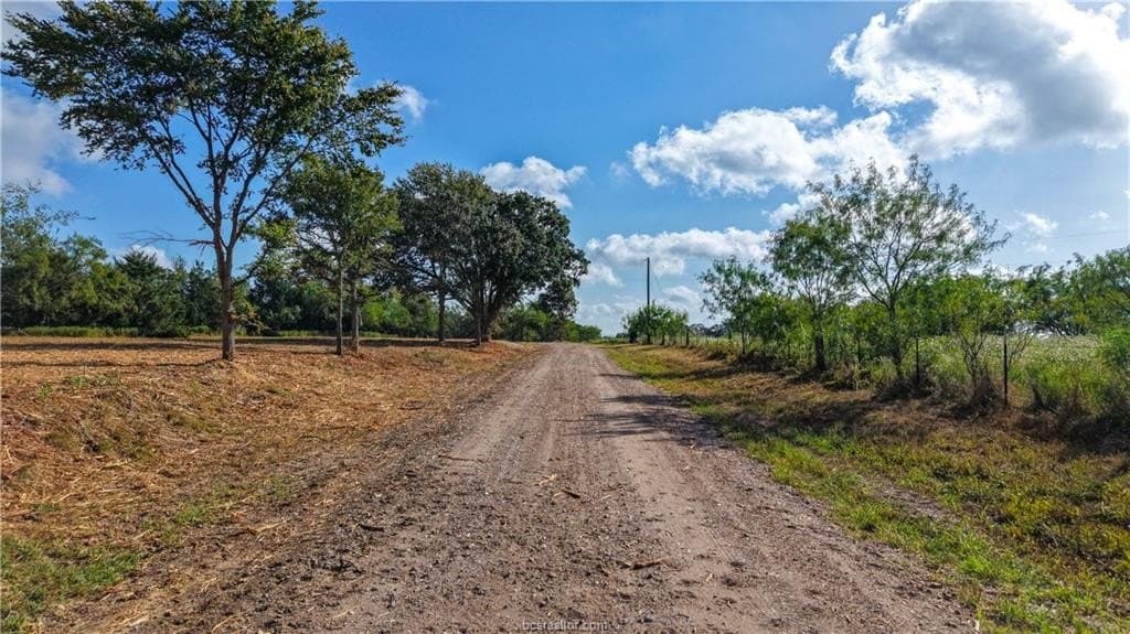 13.62 acres in Brazos County - photo 13