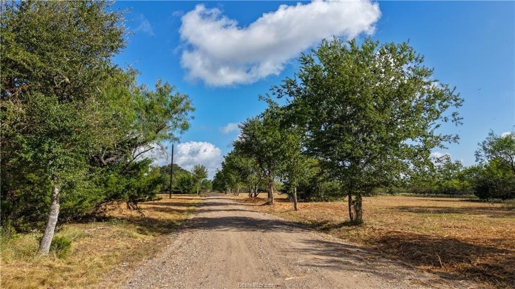 13.62 acres in Brazos County - photo 5
