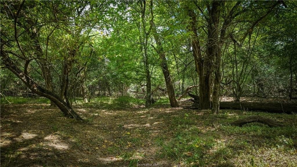 13.62 acres in Brazos County - photo 9