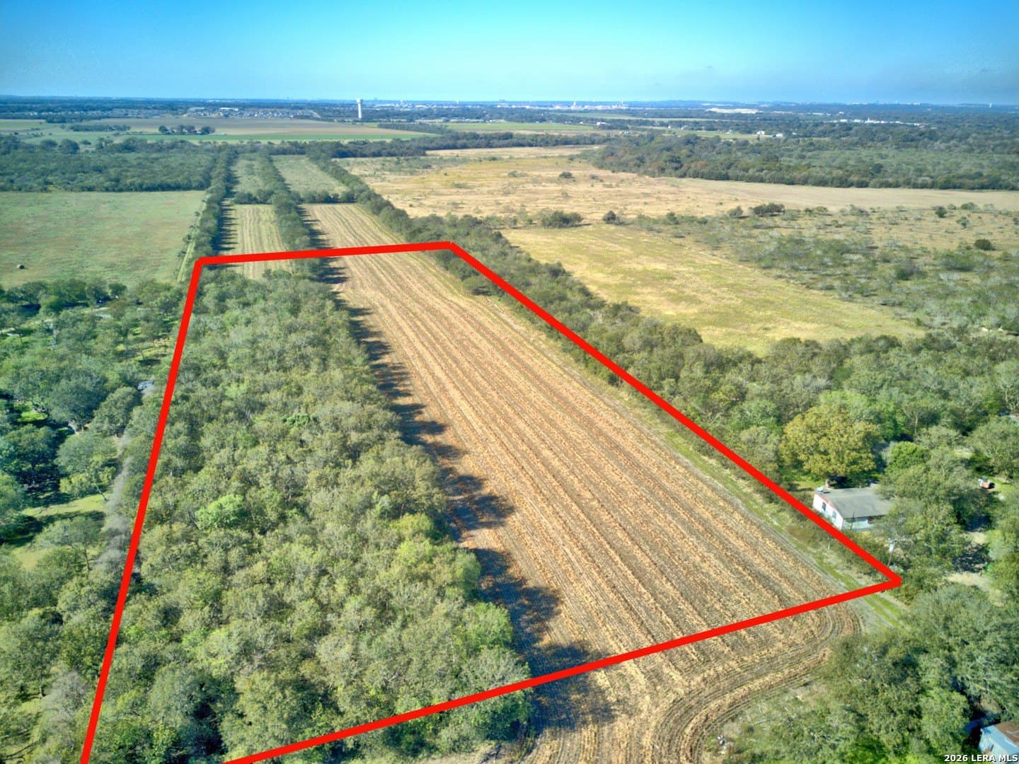 5 acres in Guadalupe County gallery image 3