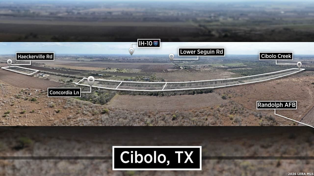 5 acres in Guadalupe County gallery image 4