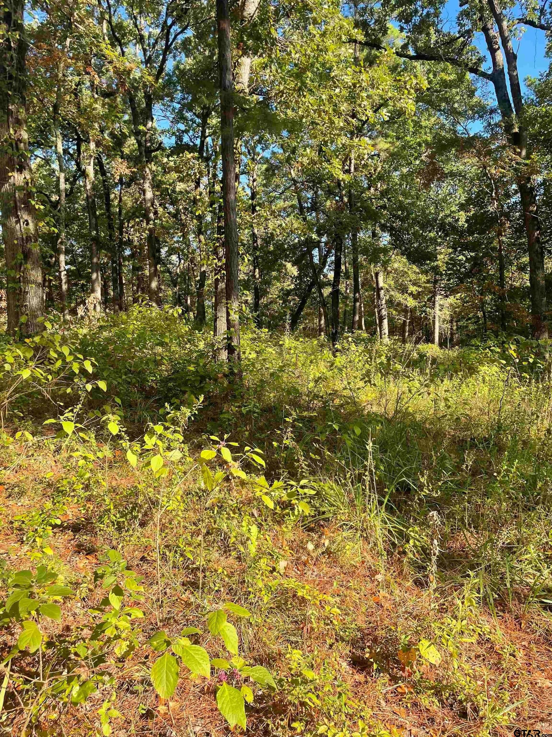 15.8 acres in Smith County - photo 9
