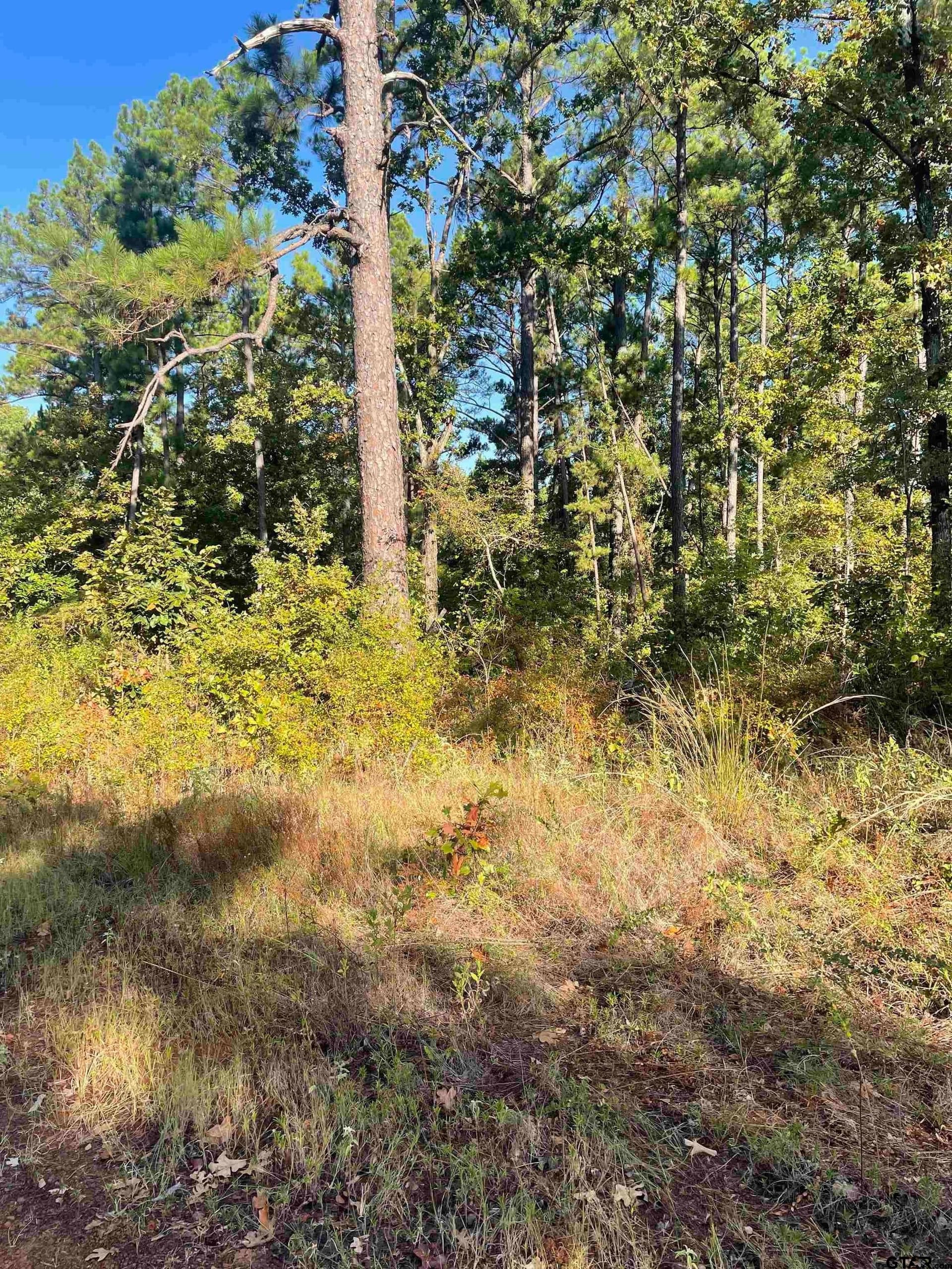 15.8 acres in Smith County - photo 7