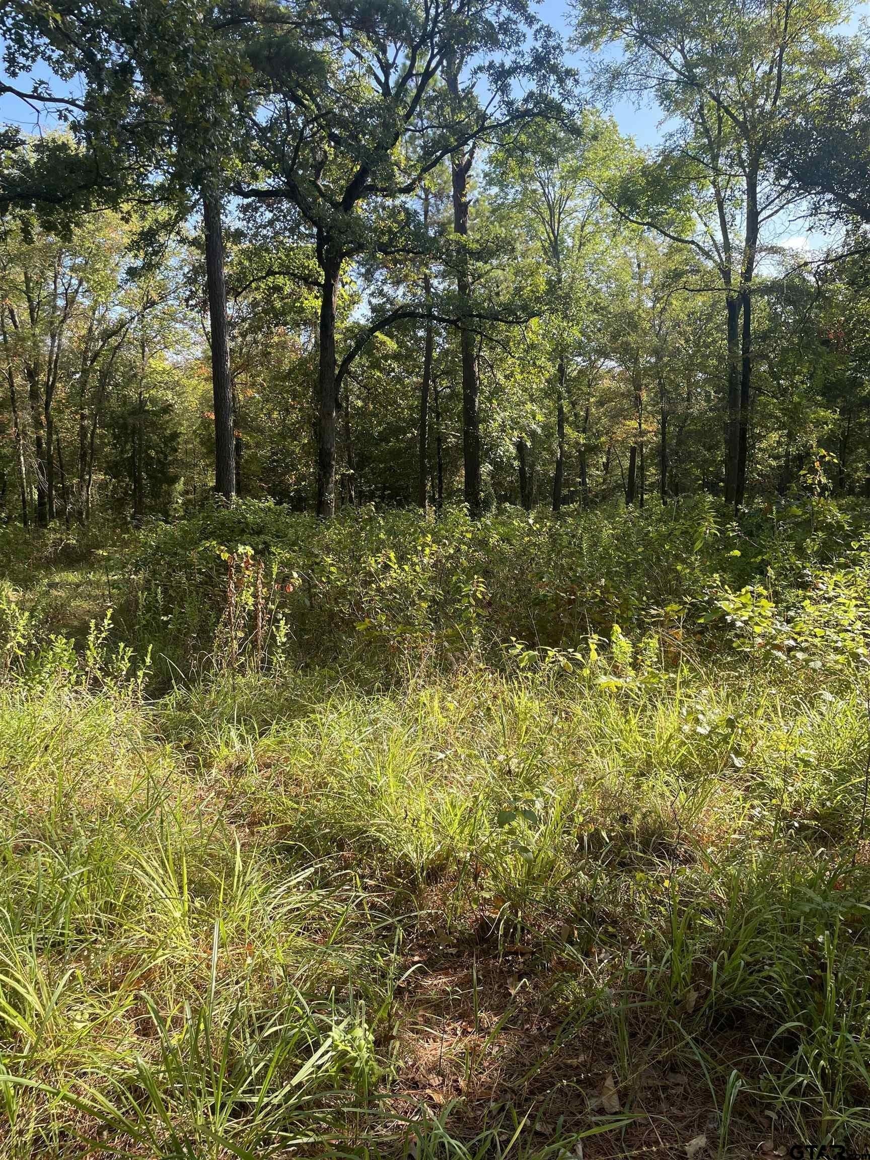 15.8 acres in Smith County - photo 10