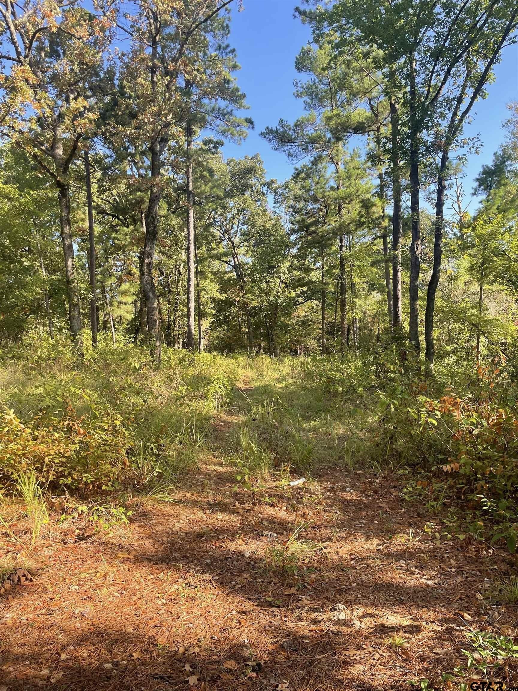 15.8 acres in Smith County - photo 8