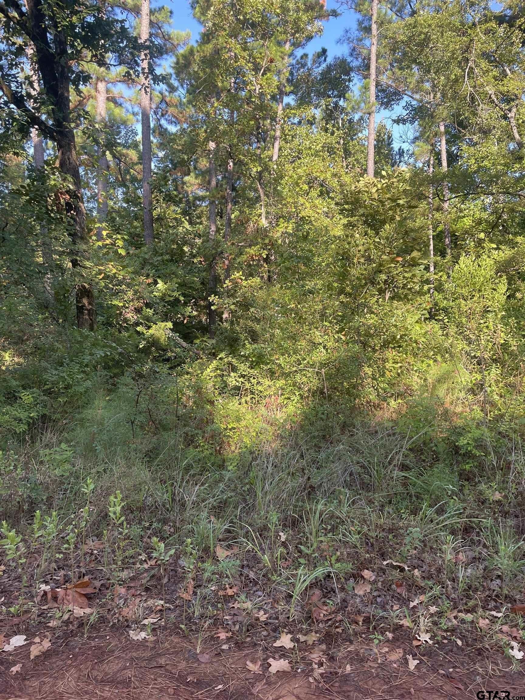 15.8 acres in Smith County - photo 5
