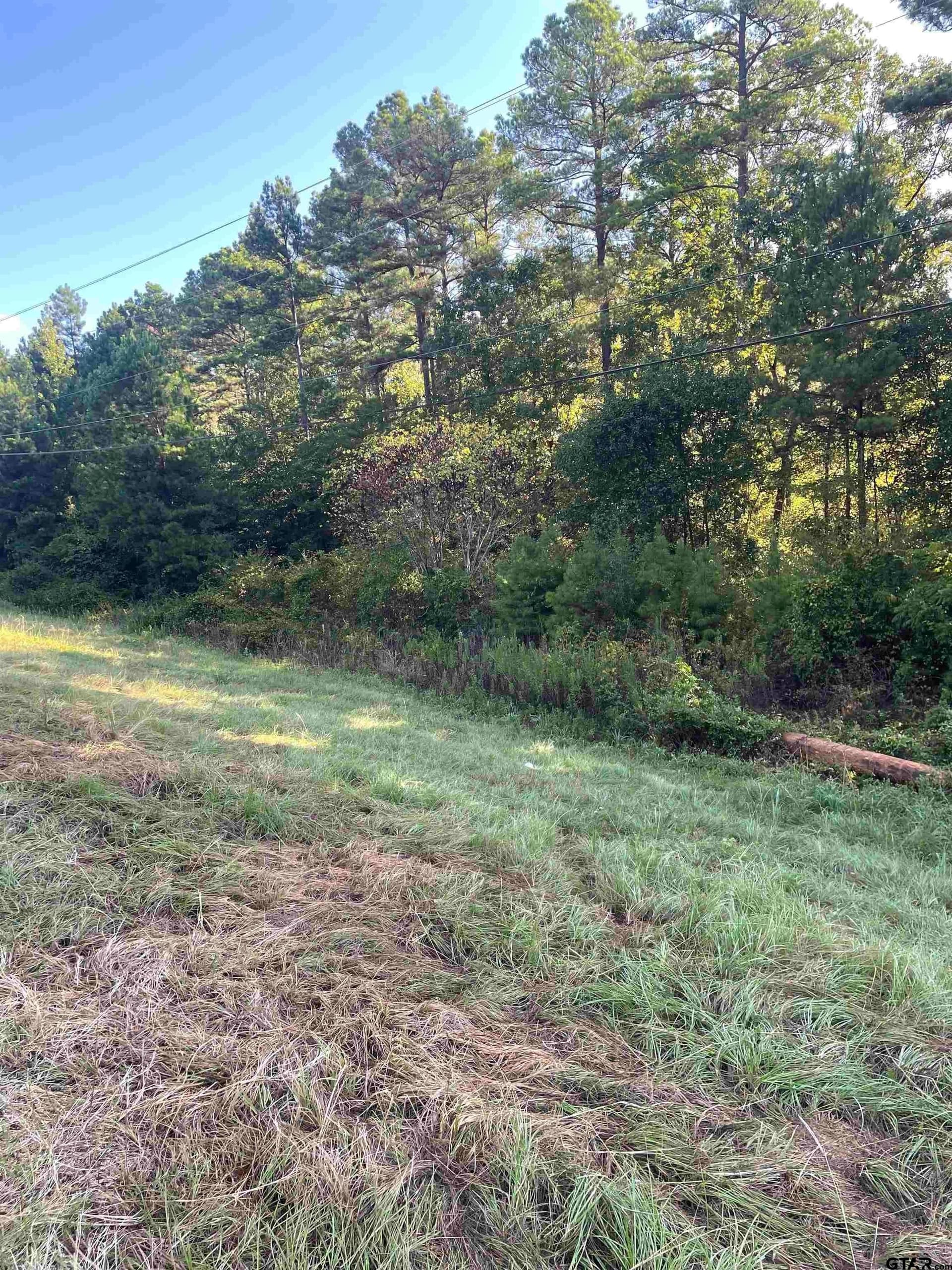 15.8 acres in Smith County - photo 14