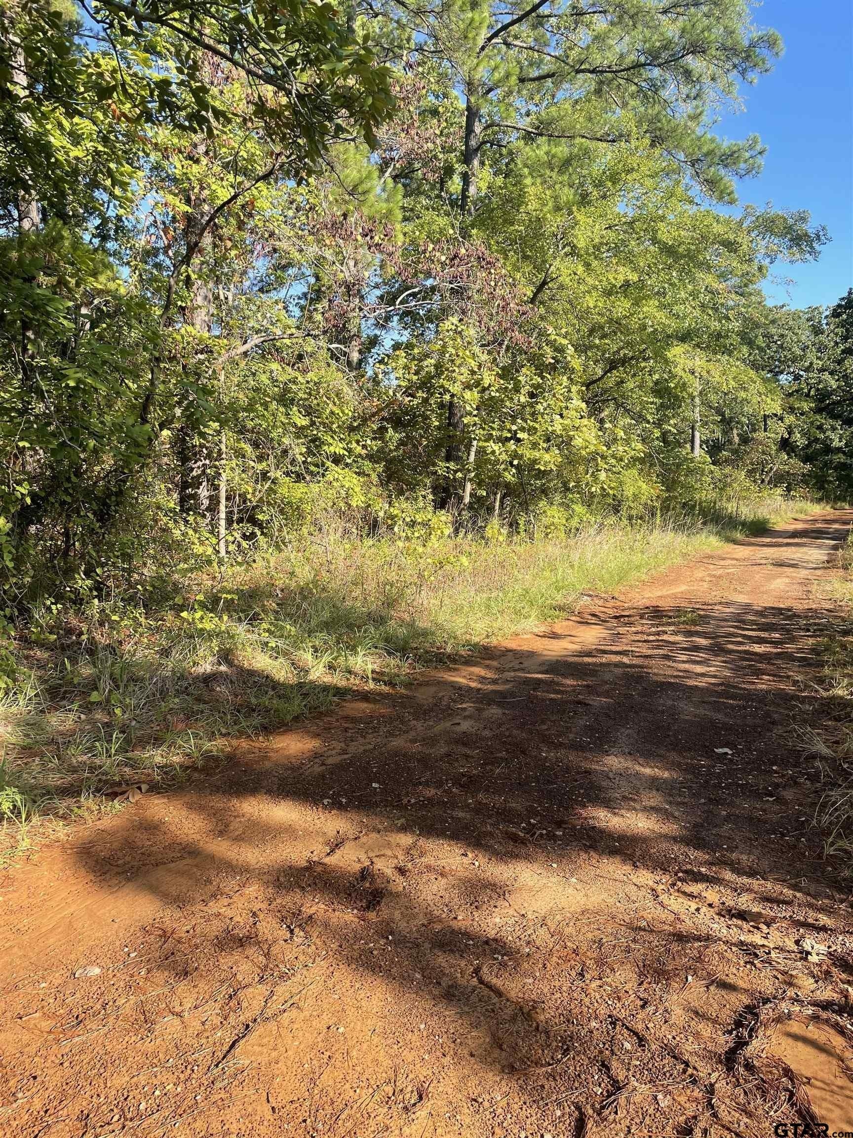 15.8 acres in Smith County - photo 2