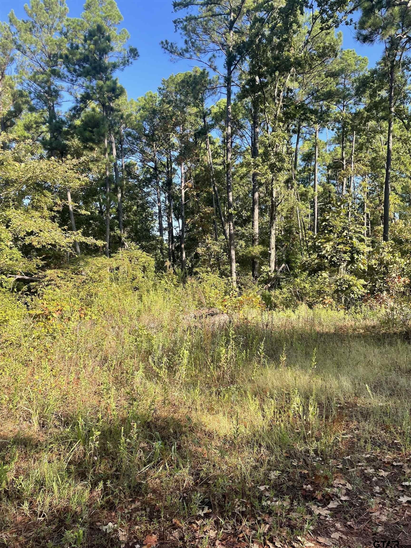 15.8 acres in Smith County - photo 6