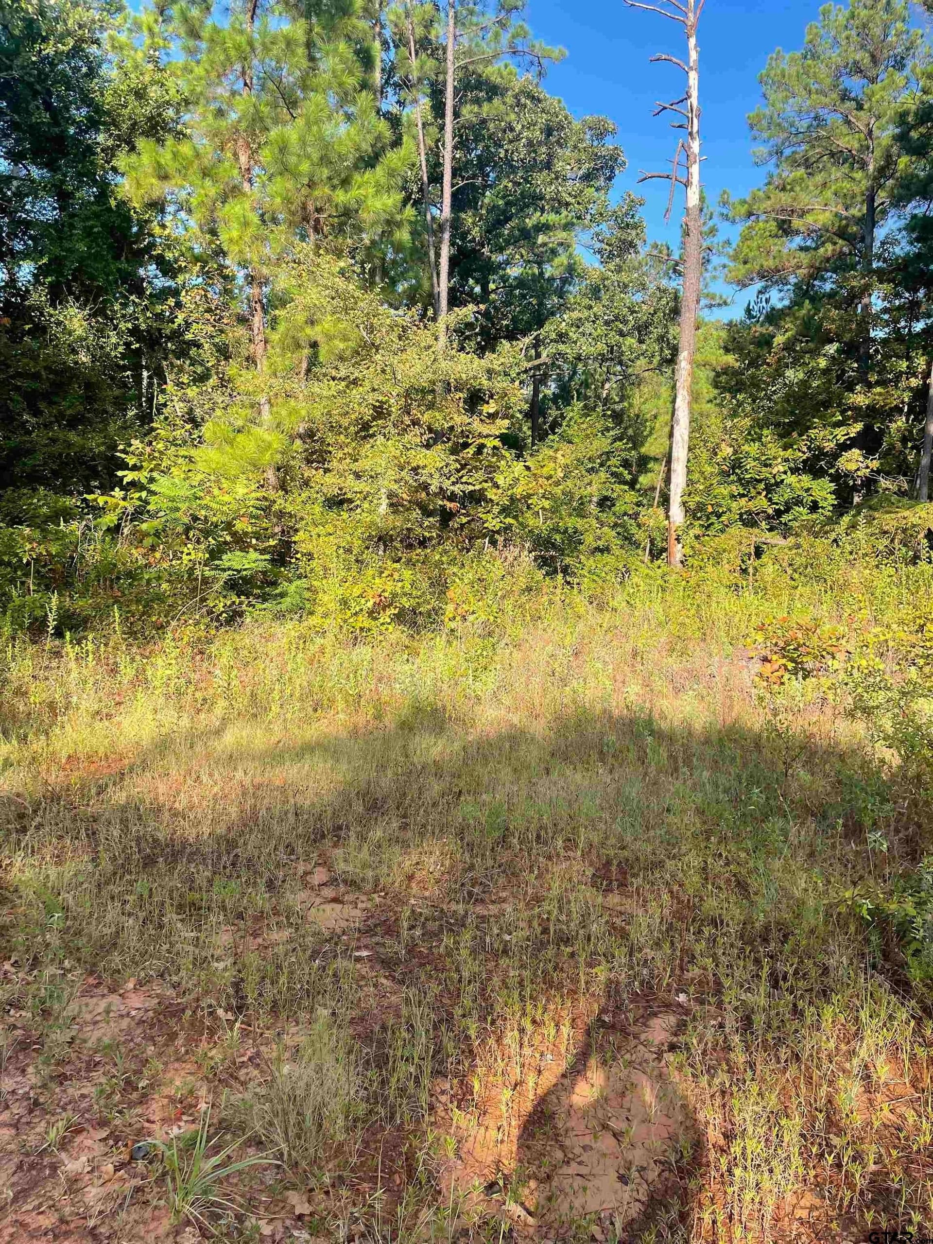 15.8 acres in Smith County - photo 13