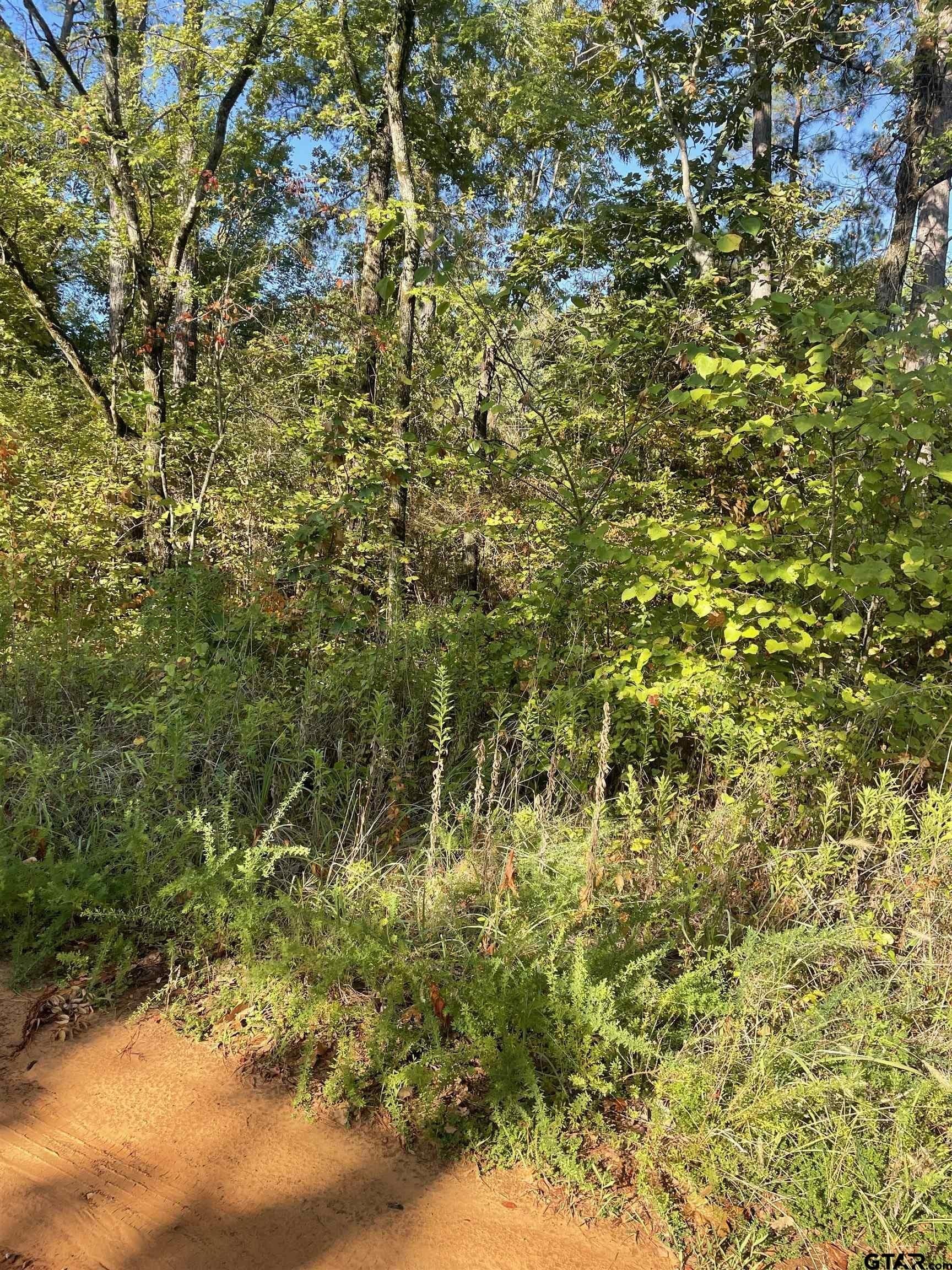 15.8 acres in Smith County - photo 3