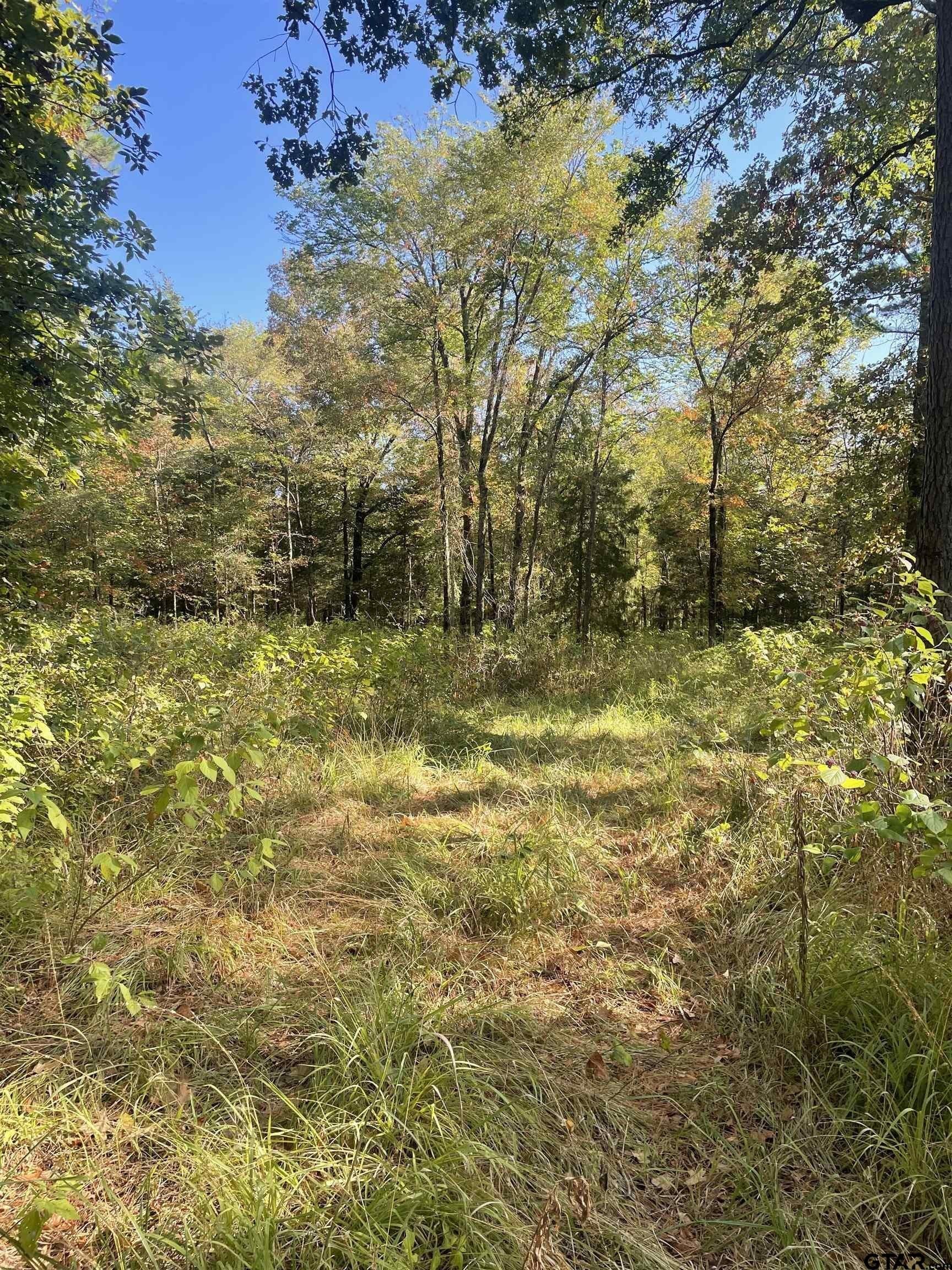 15.8 acres in Smith County - photo 11