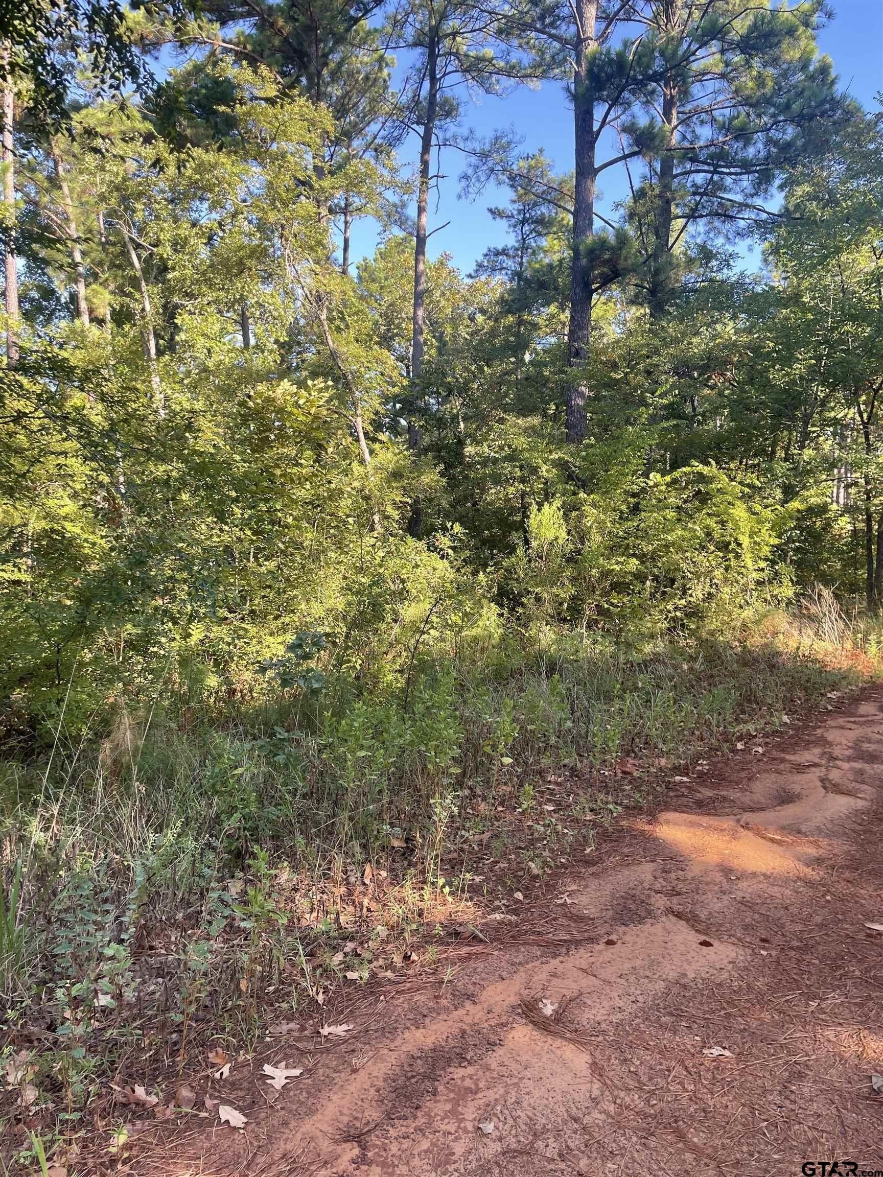 15.8 acres in Smith County - photo 4