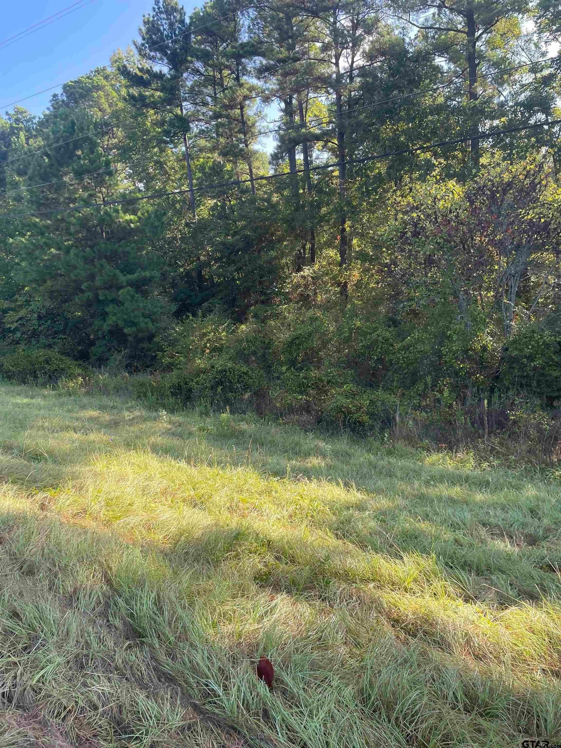 15.8 acres in Smith County - photo 15