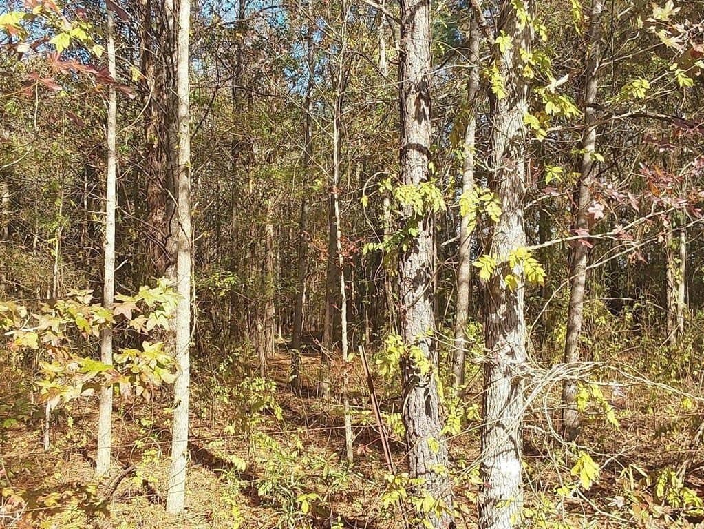 3 acres in Cass County gallery image 2