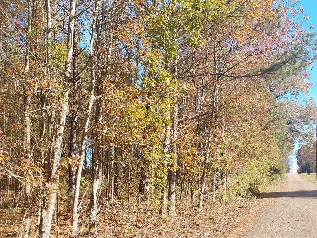 3 acres in Cass County