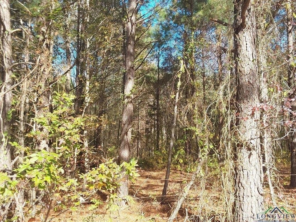 3 acres in Cass County - photo 8