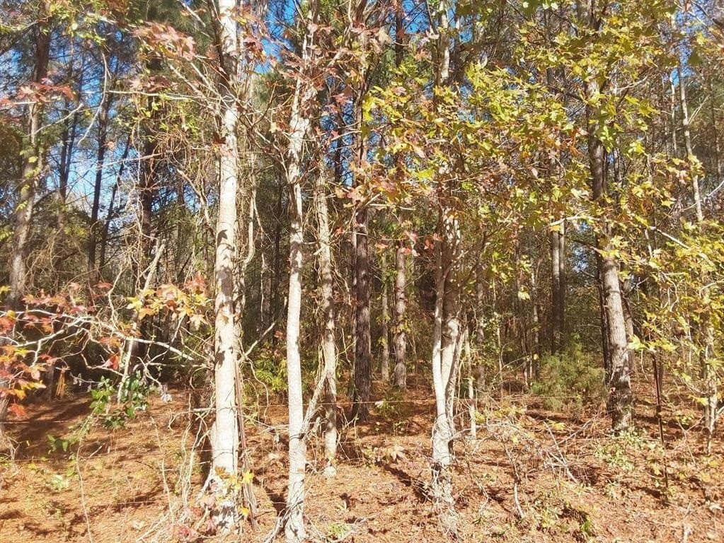 3 acres in Cass County featured view