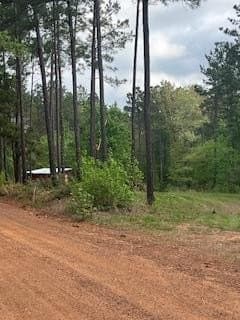 19.72 acres in Texas County gallery image 3