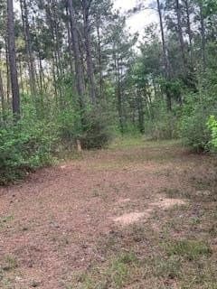 19.72 acres in Texas County featured view