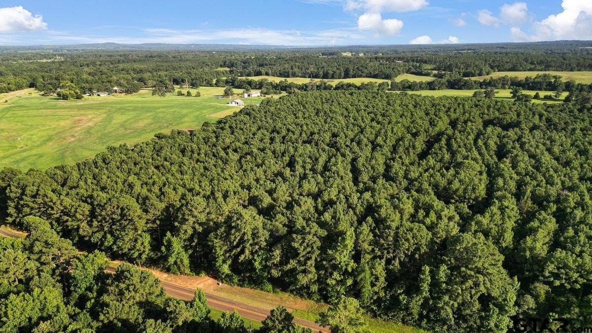 17 acres in Cherokee County gallery image 3