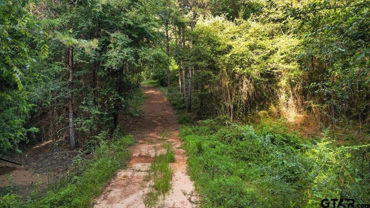 17 acres in Cherokee County gallery image 4