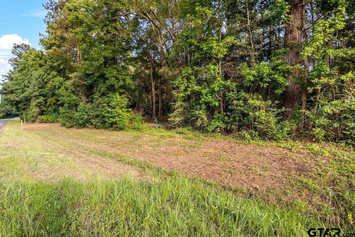 17 acres in Cherokee County gallery image 2
