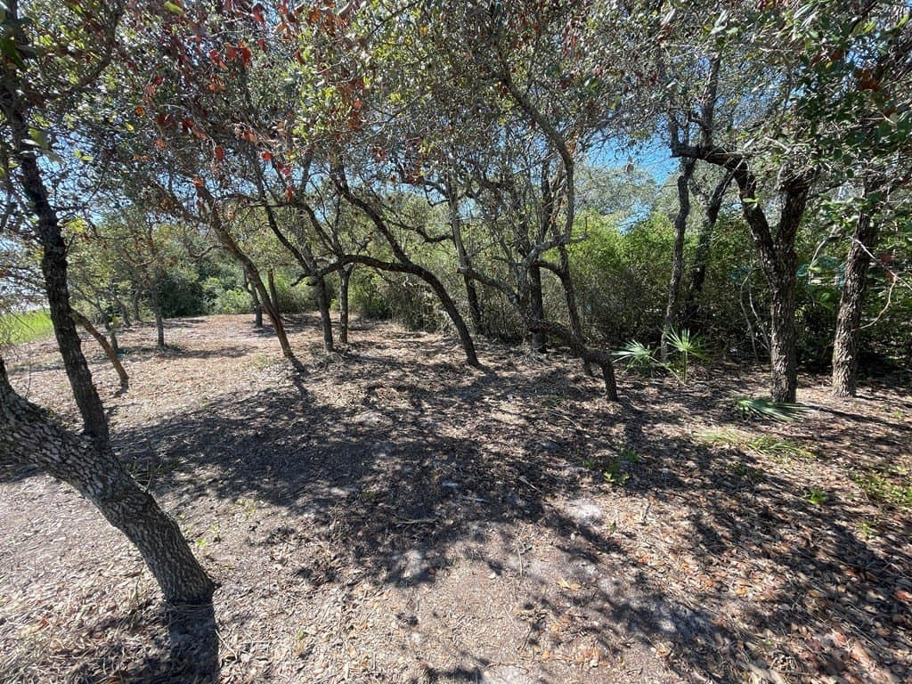 0 acres in Texas County gallery image 3