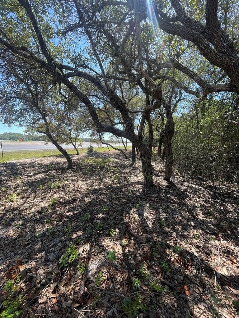 0 acres in Texas County gallery image 2