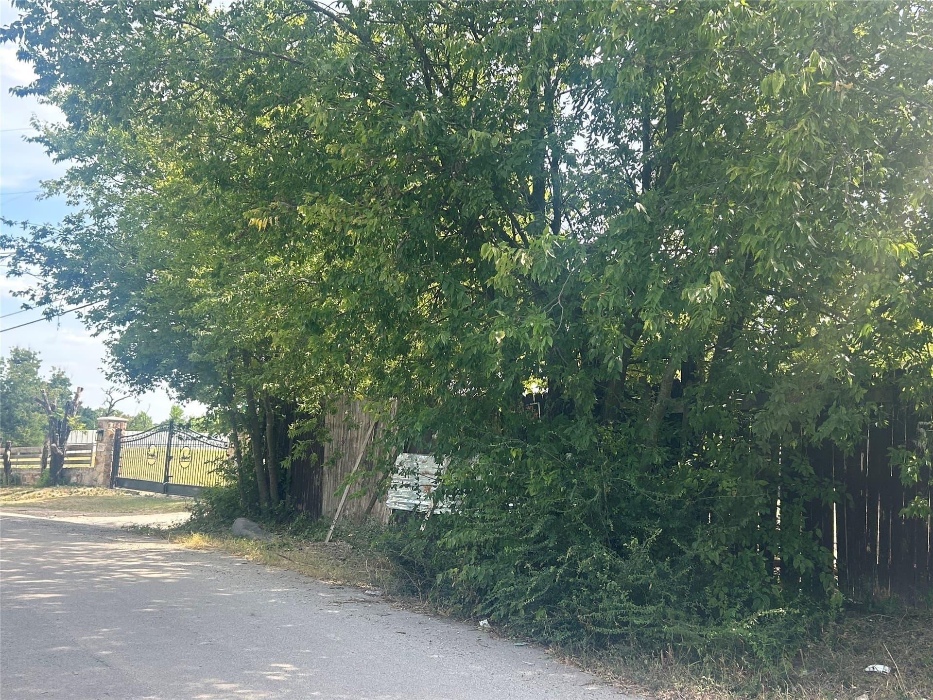 0.31 acres in Dallas County - photo 8