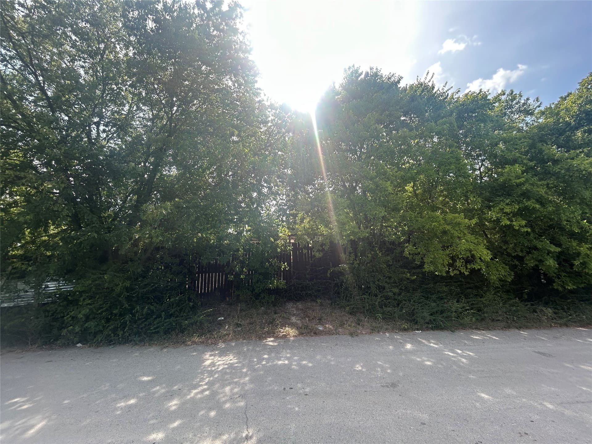 0.31 acres in Dallas County - photo 7