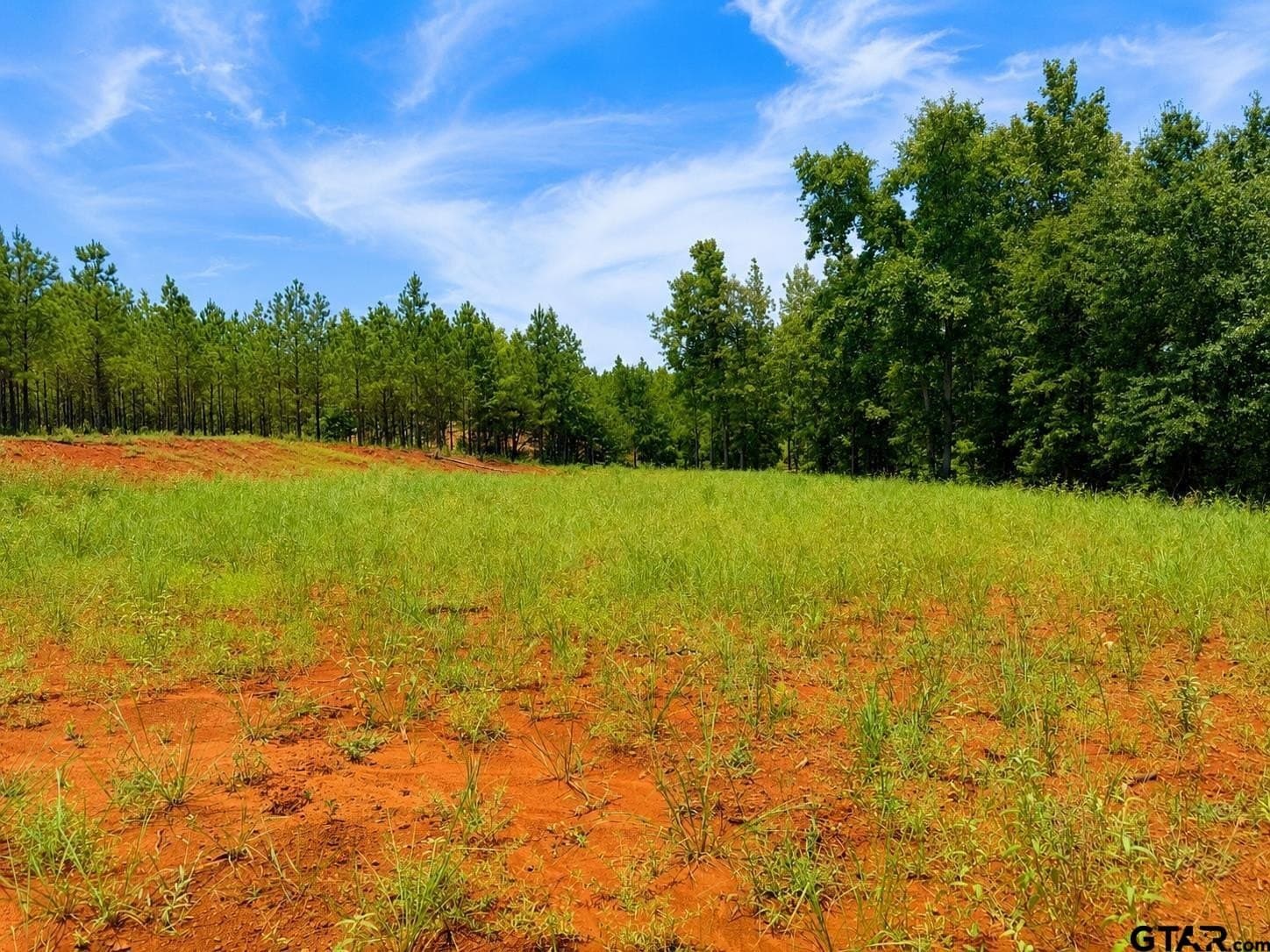 1.54 acres in Smith County gallery image 4