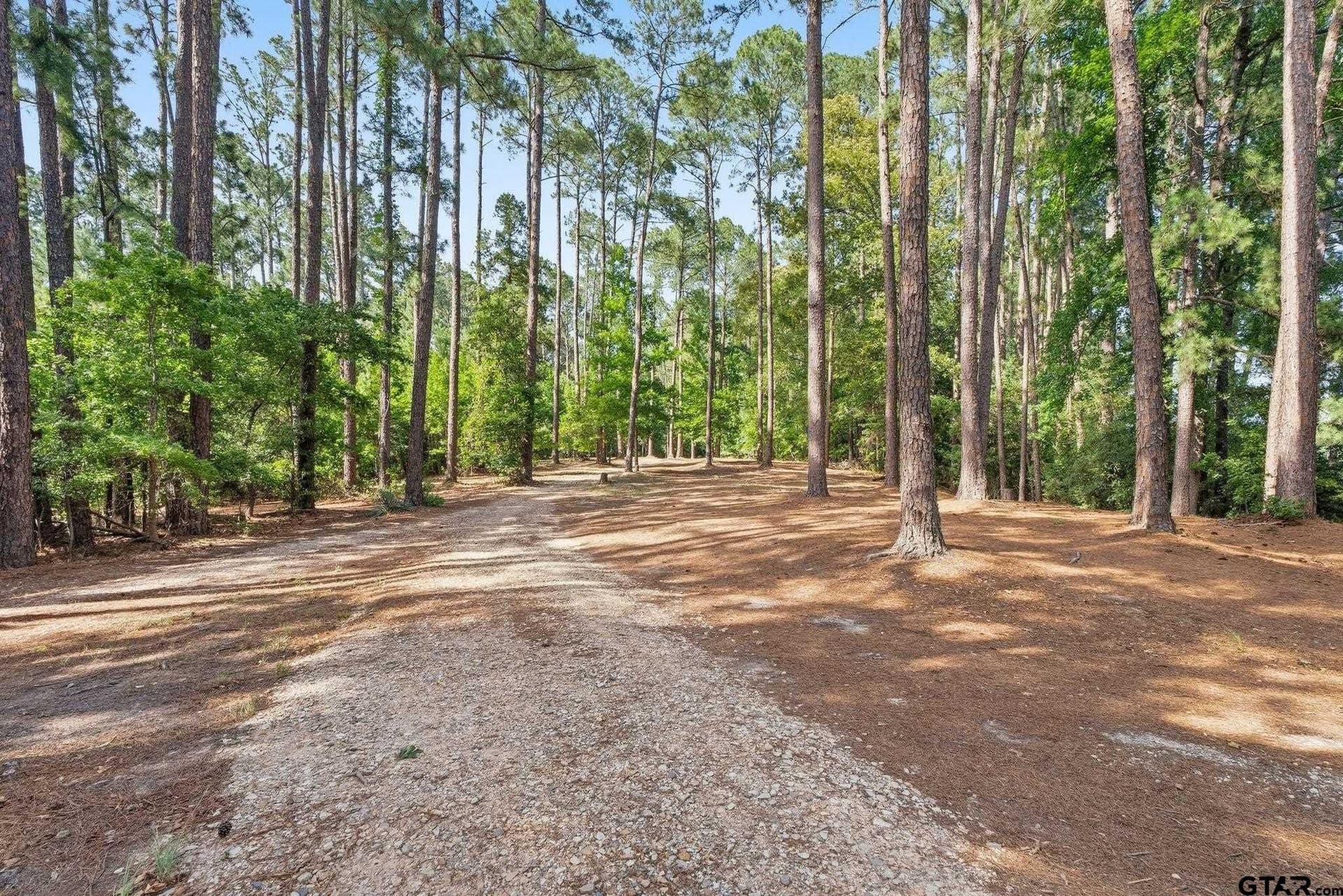 1.35 acres in Wood County - photo 18