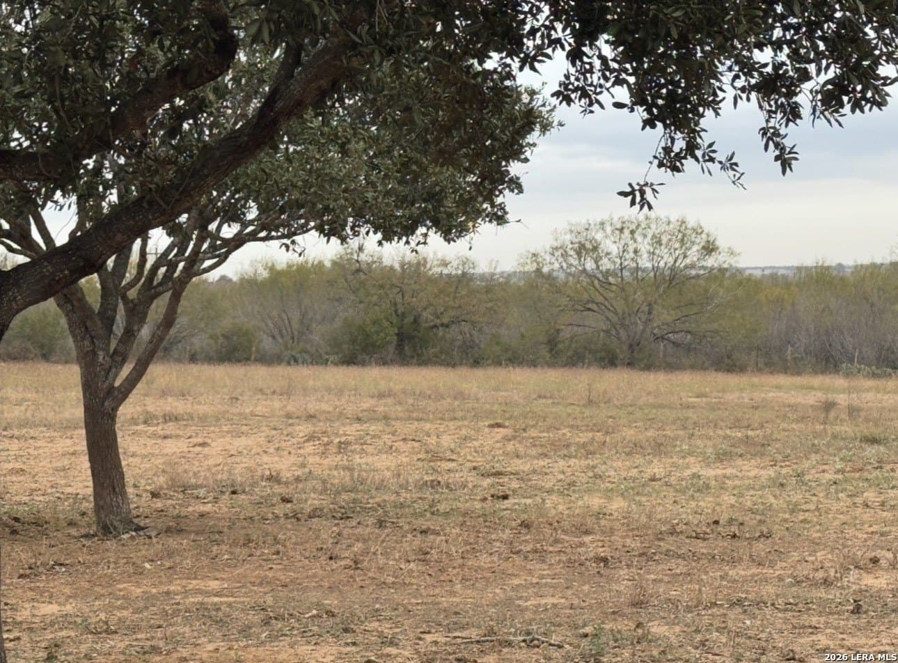 62.15 acres in Wilson County gallery image 2