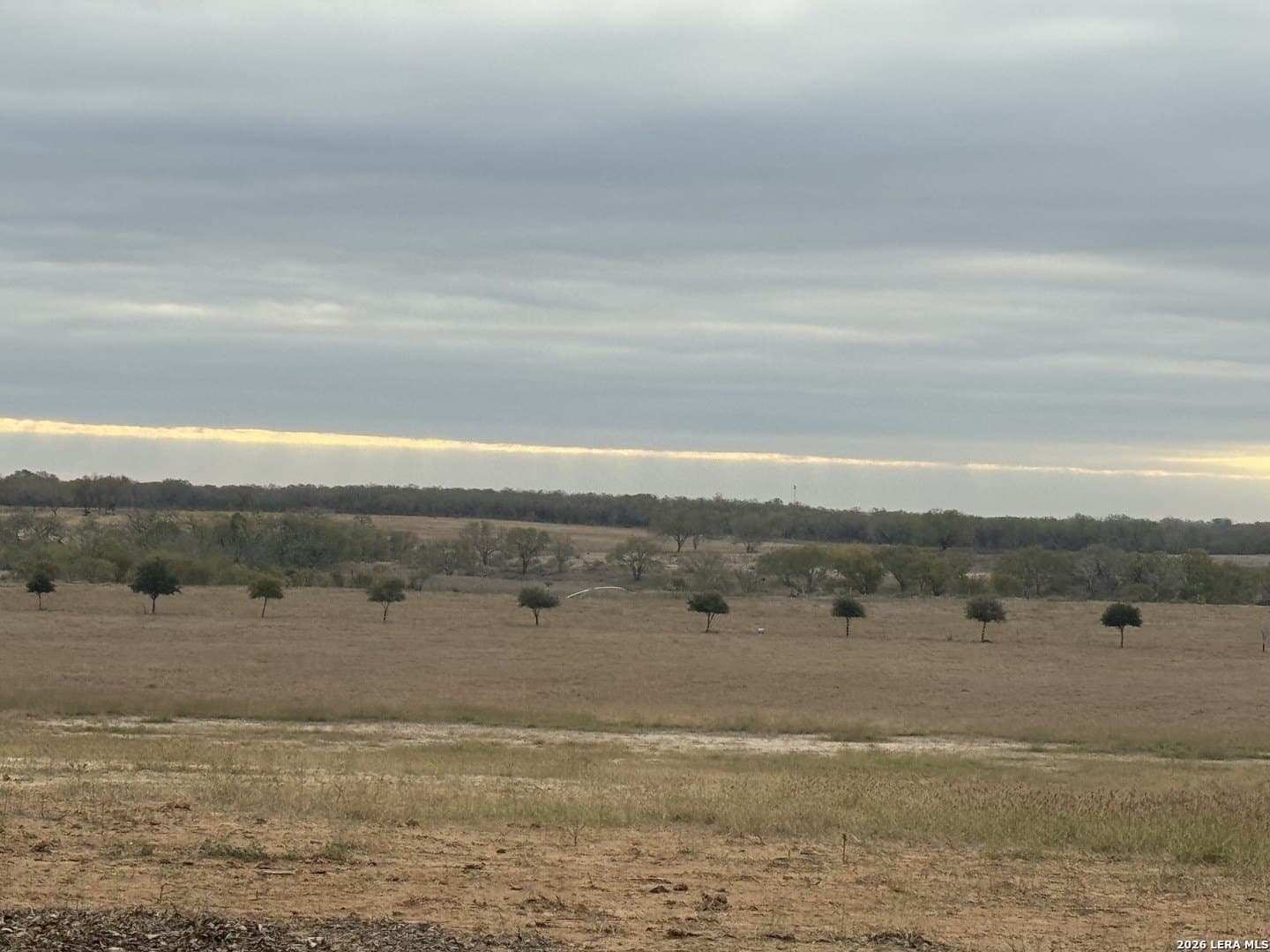 62.15 acres in Wilson County - photo 8